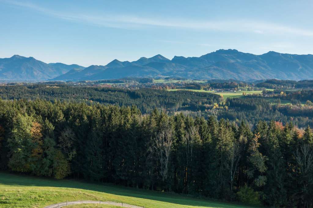 Blick Chiemgauer Alpen