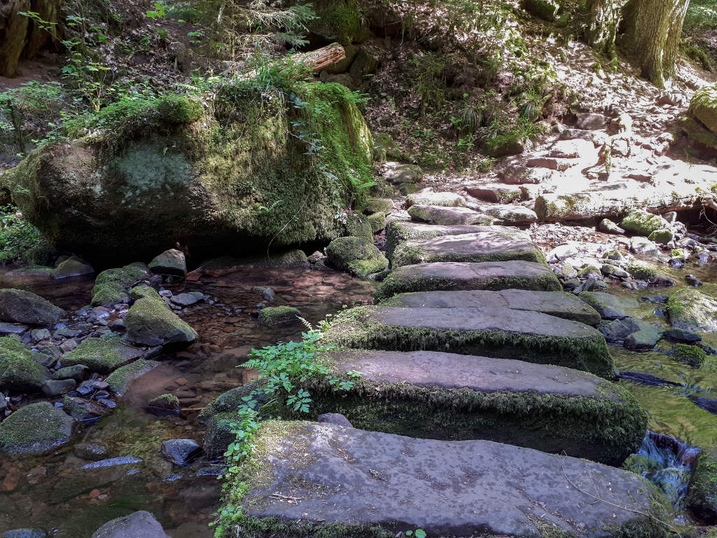 Monbachtal-Trittsteine