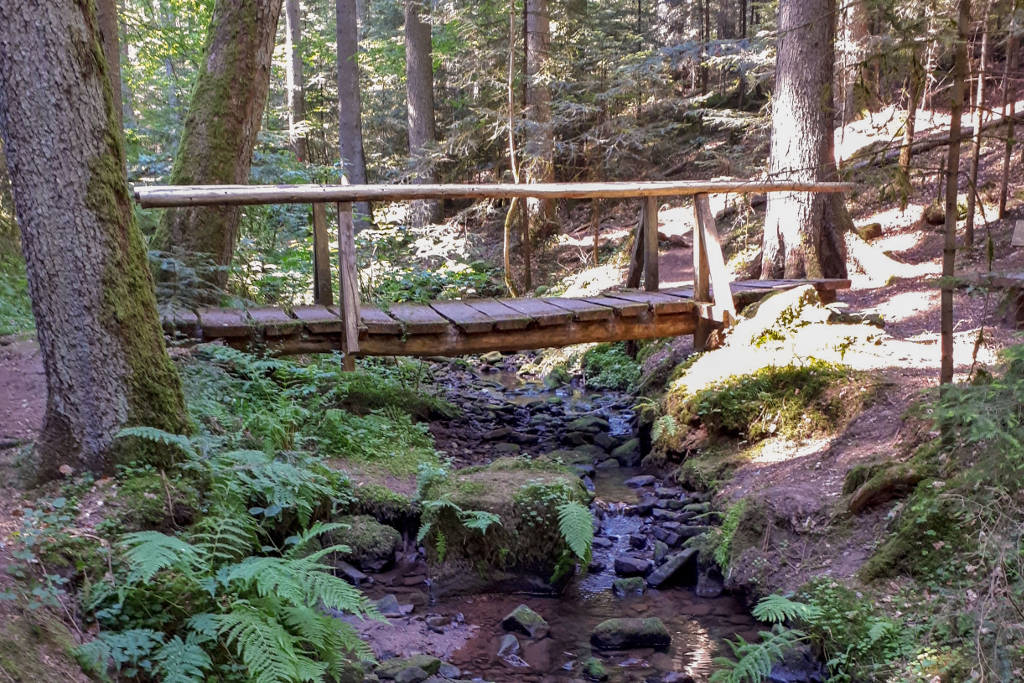 Schwarzwald Wandern Roetelbachtal