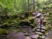 Nordschwarzwald Wandern: 4 abenteuerliche Wandertouren mit Kindern