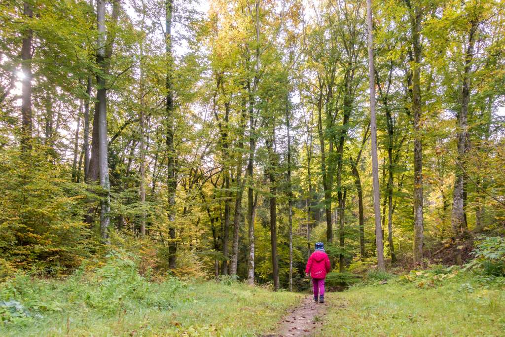 Wandern mit Kindern im Herbst