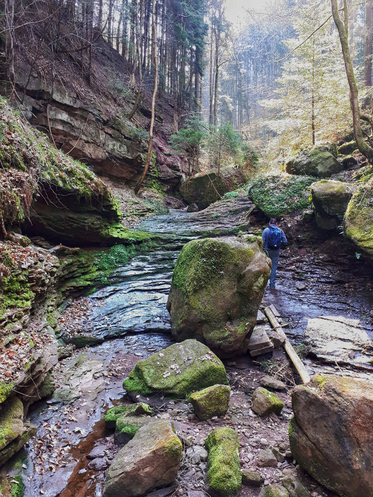 Wolfsschlucht Wandern mit Kindern Nordschwarzwald