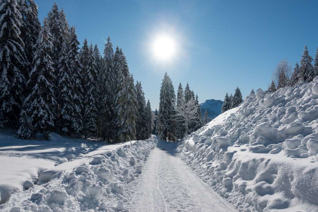 Wandern im Winter mit Kind