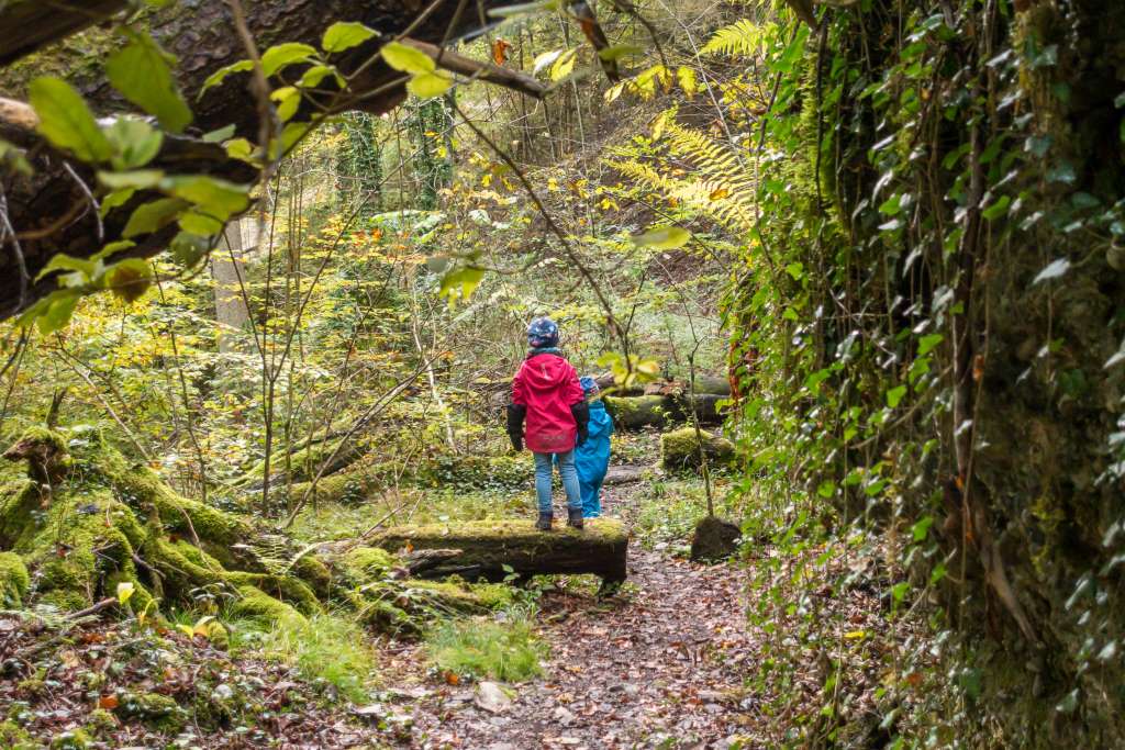 Nachhaltig Wandern mit Kindern