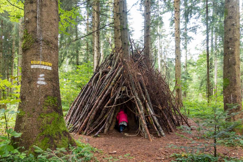 Natur erleben mit Kindern