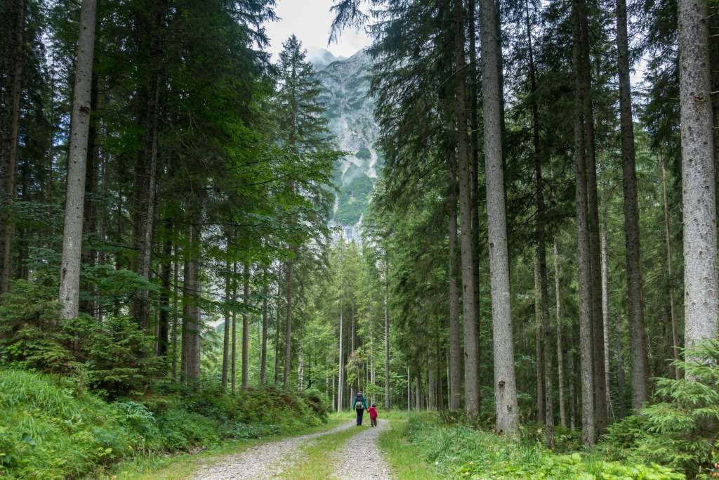 Ausflug Wald Kinder Packliste