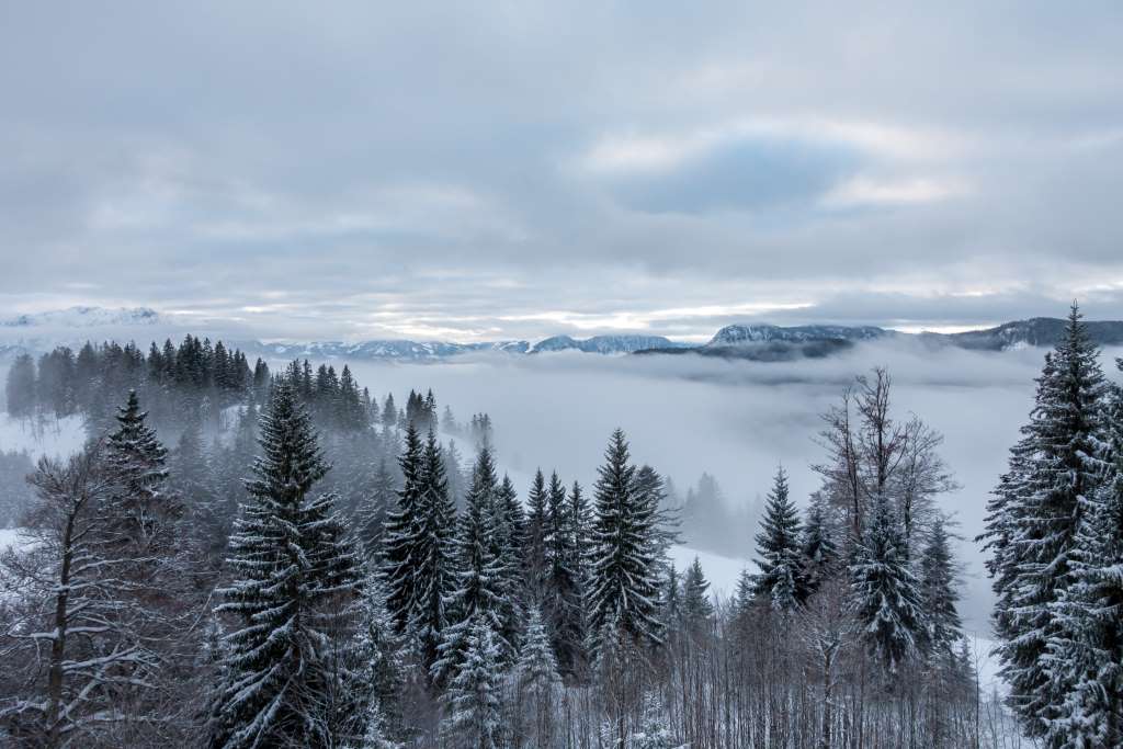 Blick Brünnsteinhaus im Winter