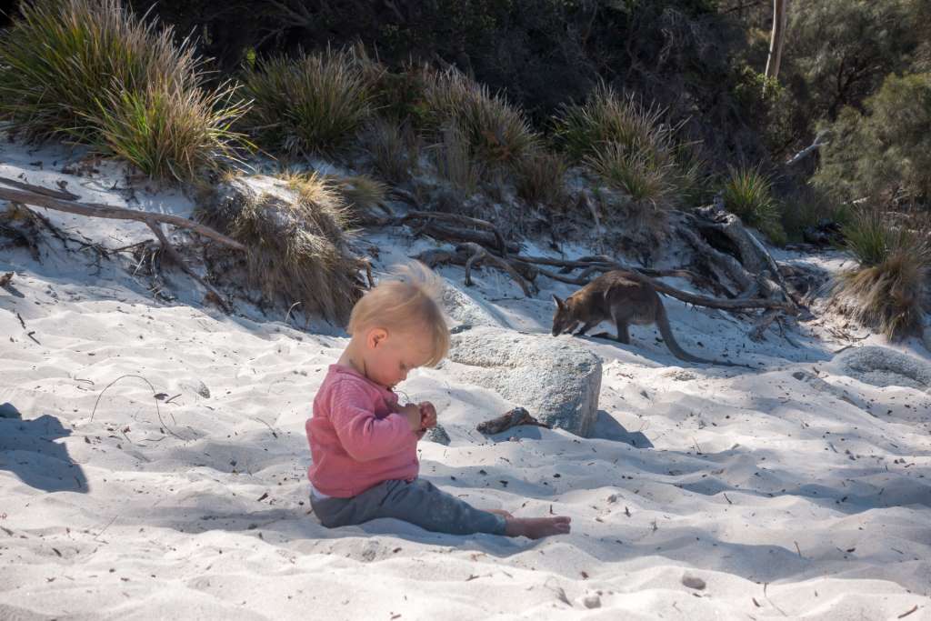 Elternzeitreise Tasmanien