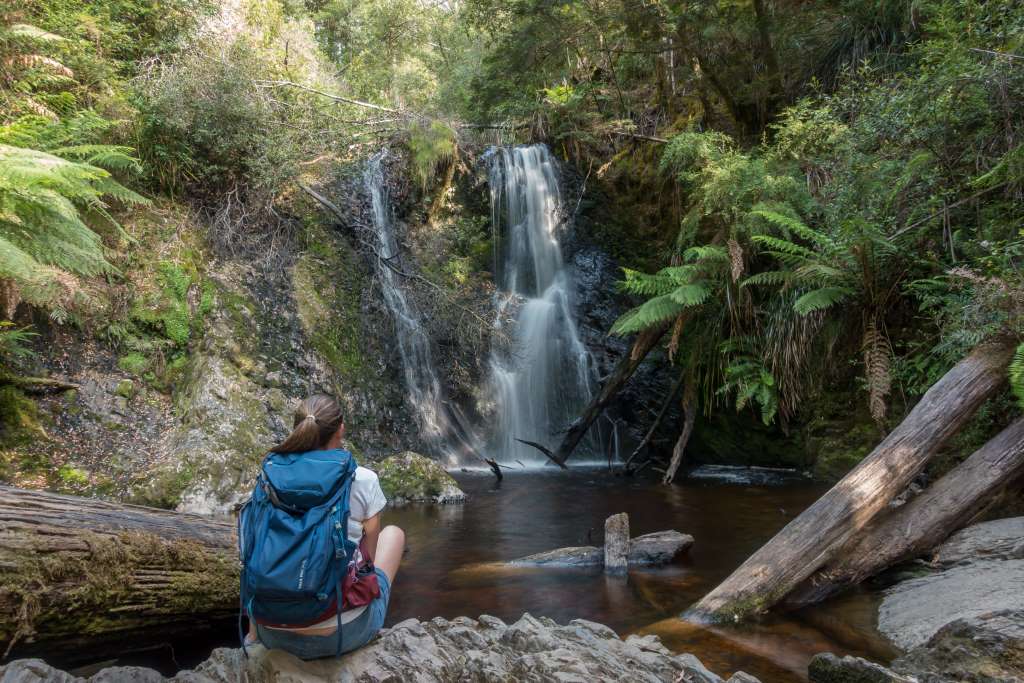 Hogarth Falls Tasmanien Highlight