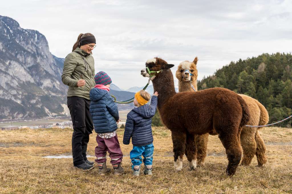 Innsbruck mit Kindern Alpaka Wanderung