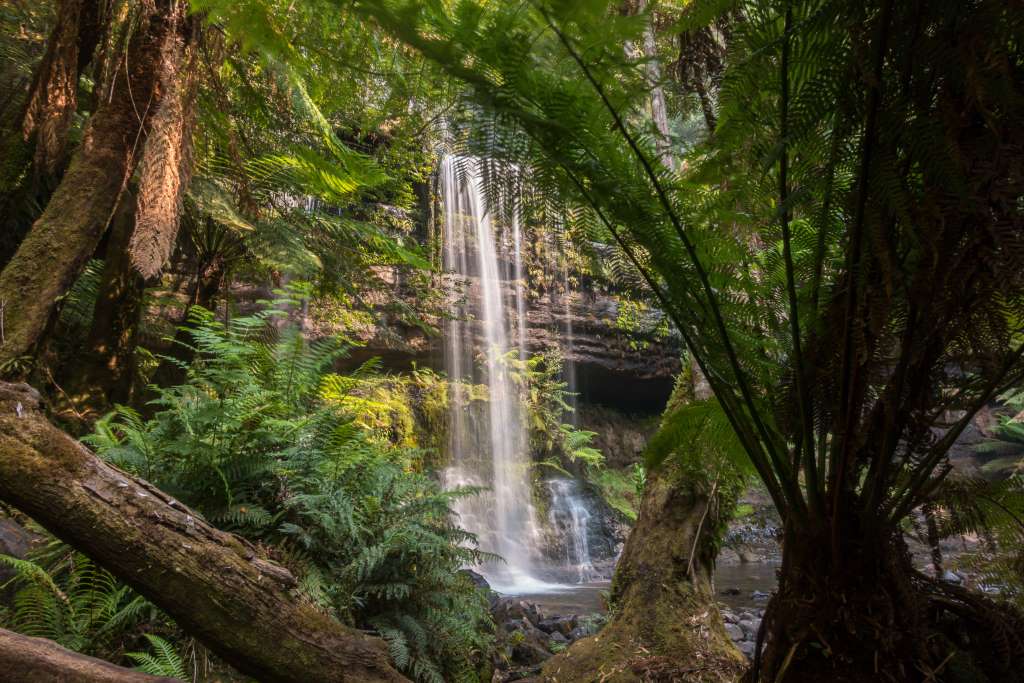 Russell Falls Tasmanien