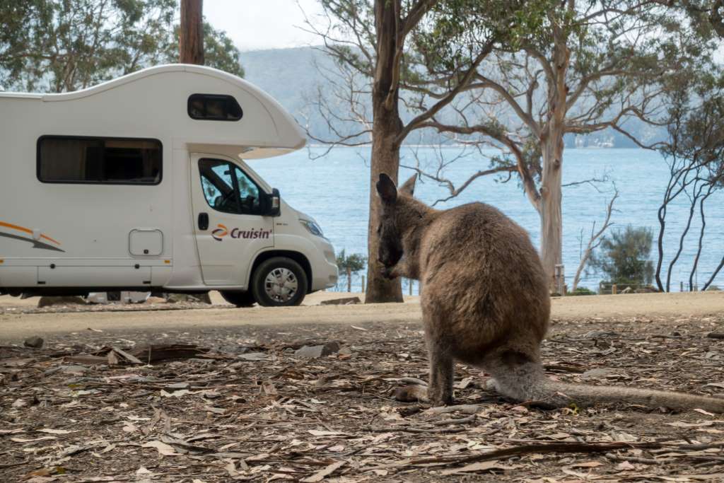 Tasmanien Campingplatz Fortescue Bay