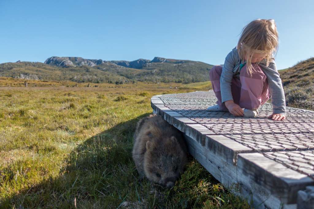 Tasmanien Sehenswürdigkeit Cradle Mountain