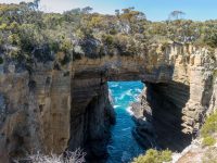 Tasmanien Sehenswürdigkeiten: 15 Gründe, warum Tasmanien das Highlight Deiner Australien-Reise ist