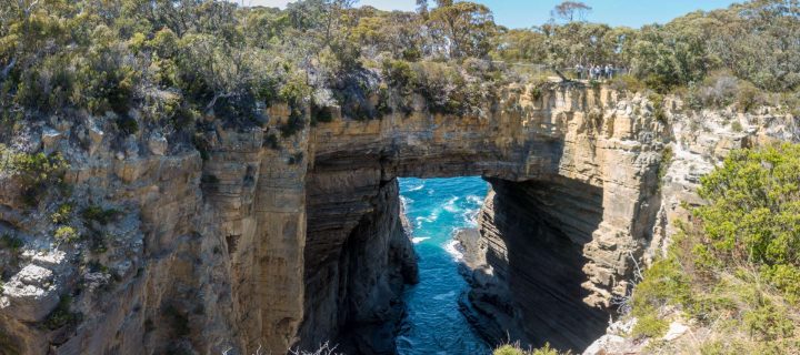 Tasmanien Sehenswürdigkeiten: 15 Gründe, warum Tasmanien das Highlight Deiner Australien-Reise ist