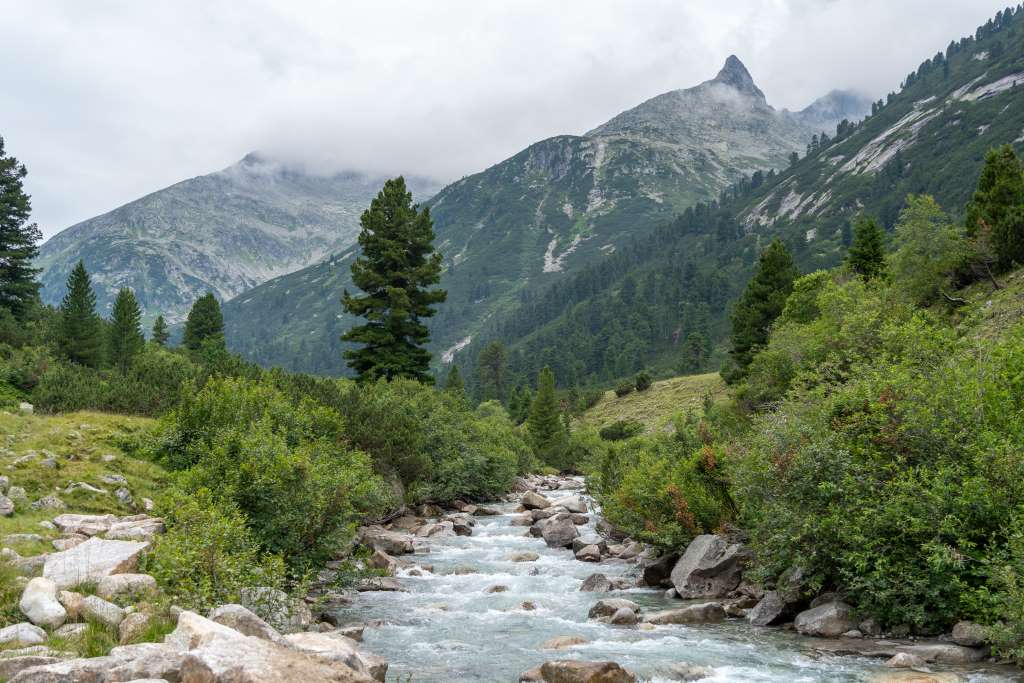 Wanderung Friesenberghaus Zamserbach