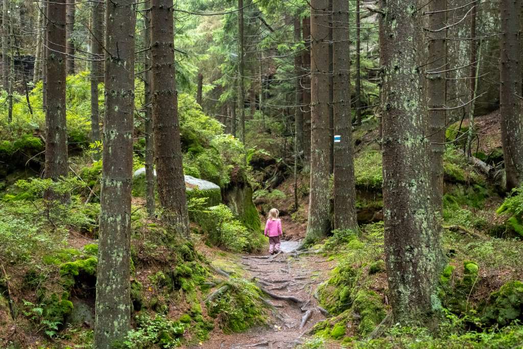 Wanderung Weckelsdorfer Felsenstadt