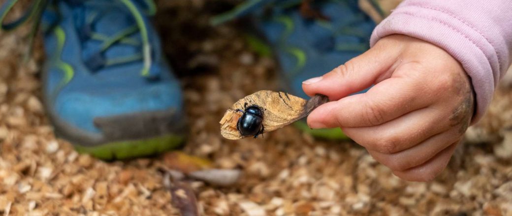 Rausgehen mit Kindern: Ein cooles Safari-Mikroabenteuer für Rausgeh-Lust statt Rausgeh-Frust