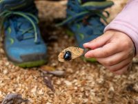 Rausgehen mit Kindern: Ein cooles Safari-Mikroabenteuer für Rausgeh-Lust statt Rausgeh-Frust