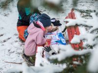 Schatzsuche Kindergeburtstag ab 4 Jahre: Die Ausgefuxt Schatzsuchen im Draußen-Test