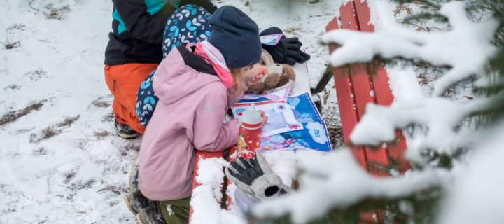 Schatzsuche Kindergeburtstag ab 4 Jahre: Die Ausgefuxt Schatzsuchen im Draußen-Test
