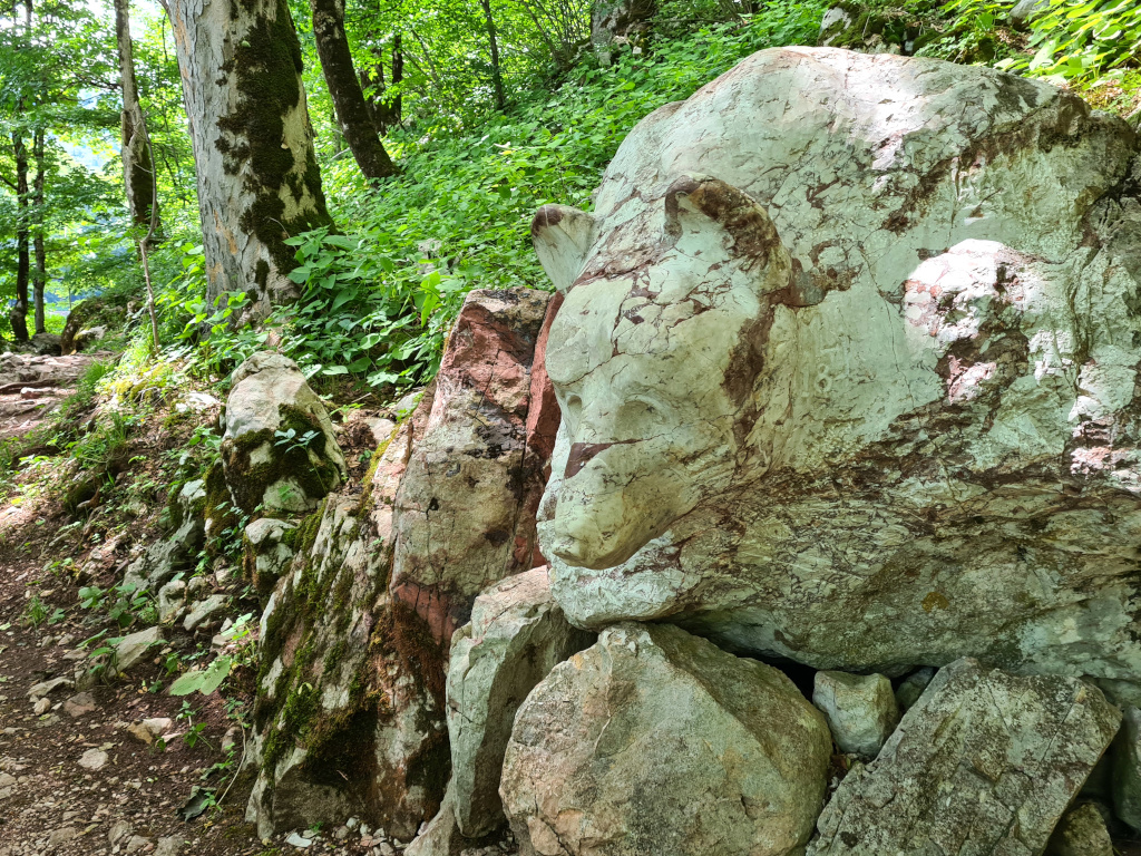 Steinbär im Biogradska Nationalpark
