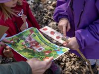 Schatzsuche Kindergeburtstag ab 4 Jahre: Die Ausgefuxt Schatzsuchen im Draußen-Test