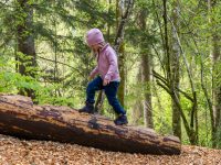 Reit im Winkl für Kinder: Unterwegs auf dem Kinderwagen- und Spieleweg