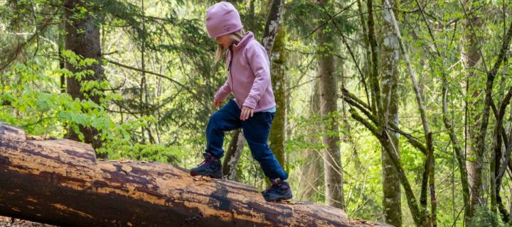 Reit im Winkl für Kinder: Unterwegs auf dem Kinderwagen- und Spieleweg