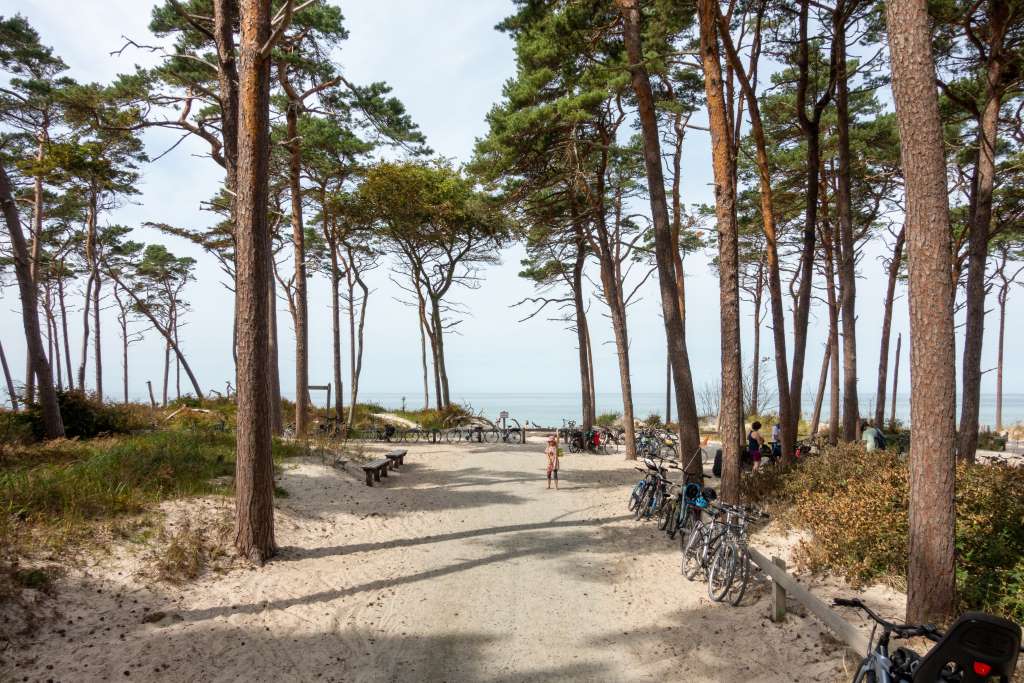 Darß Weststrand Fahrradparkplatz