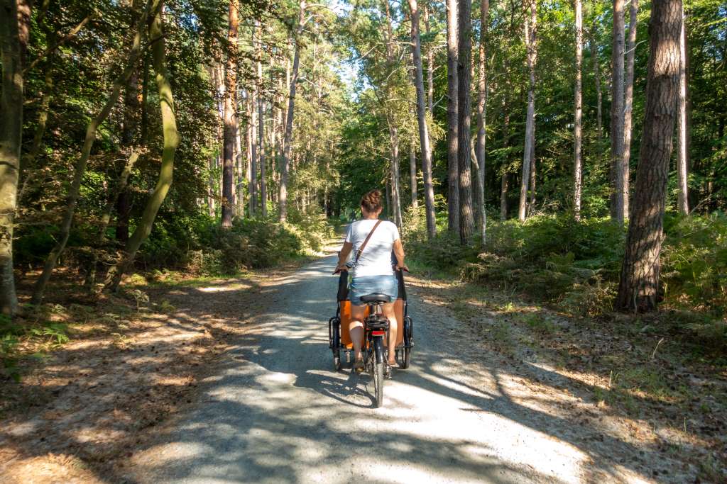 Fahrradtour Darß Nationalpark