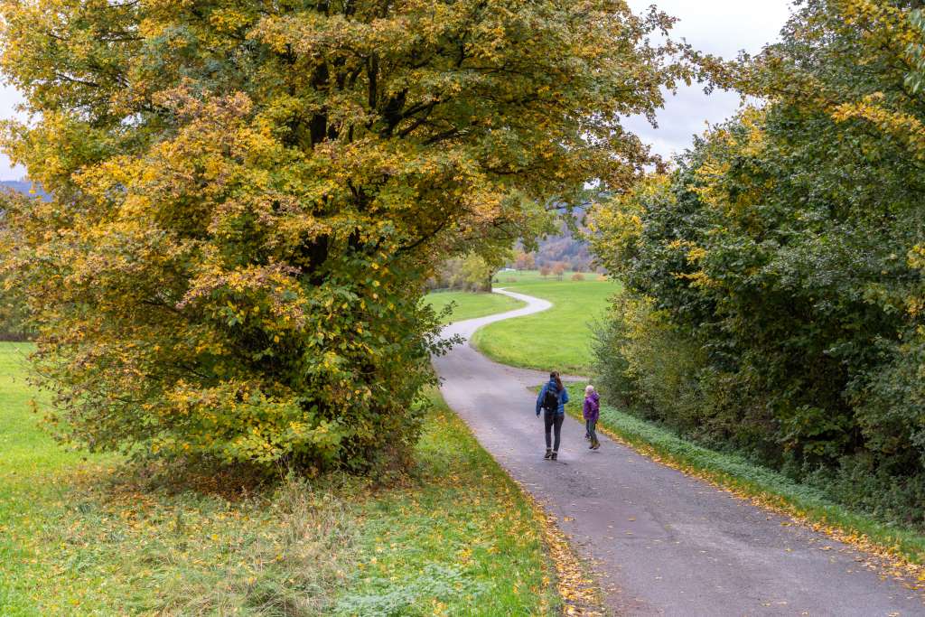 Familienurlaub Schmallenberger Sauerland Erfahrungsbericht