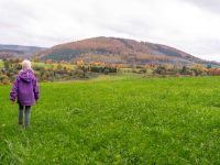 Familienurlaub im Schmallenberger Sauerland: 6 Gründe, warum das Schmallenberger Sauerland die ideale Urlaubsregion für Familien ist