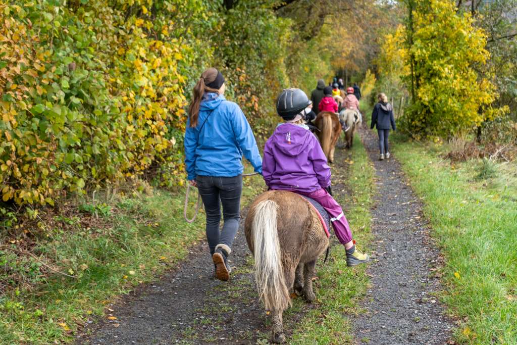 Ponyreiten auf dem Birkenhof Sauerland