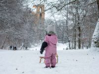 Schlittenfahren in München: Die besten Rodelhügel in der Stadt