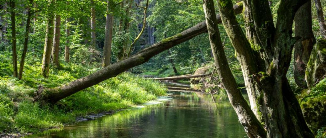 Nachhaltig reisen mit der Familie: 7 unverzichtbare Tipps für die Planung umweltfreundlicher Ferien