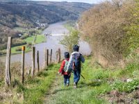 Moselsteig mit Kindern: 6 einfache Etappen für Familien