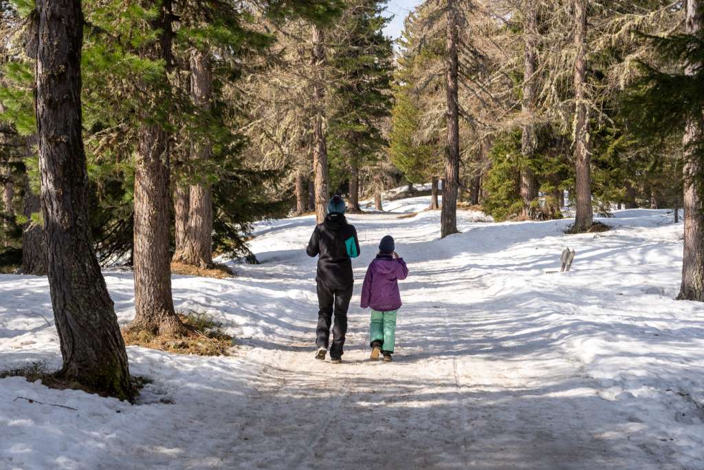 Wandern Winter Turracher Höhe