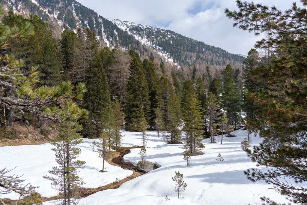 Wandern Winterurlaub Turracher Höhe