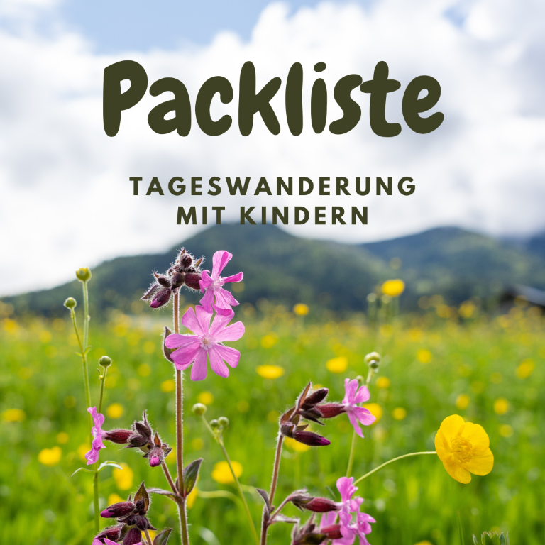 Wandern mit Kindern Packliste Tageswanderung Familien