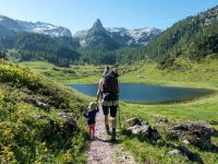 Wandern mit Kleinkind – Die 10 besten Tipps für entspanntes wandern mit Kind