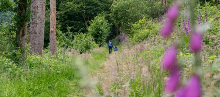 Urlaub im Hachenburger Westerwald und Bad Marienberg: 9 Ausflugsziele im Westerwald für Familien