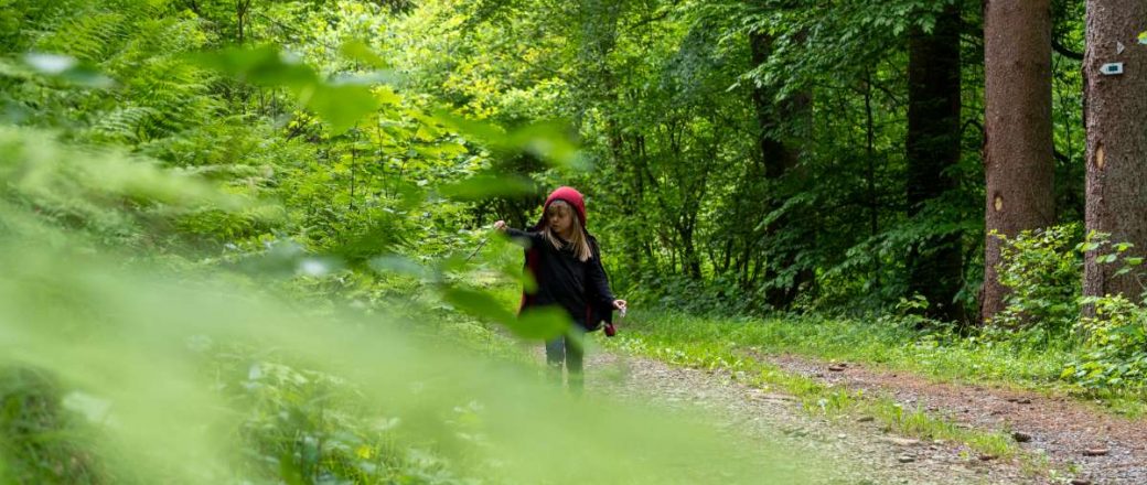 Geheimtipp Wallonie in Belgien: Entspannter Familienurlaub in den belgischen Ardennen