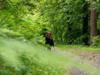 Geheimtipp Wallonie in Belgien: Entspannter Familienurlaub in den belgischen Ardennen