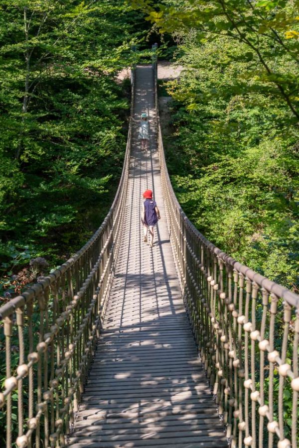 Wald Erlebnispfad In Der Nähe Naheland mit Kindern: 4 Ausflugstipps mit ÖPNV-Anbindug