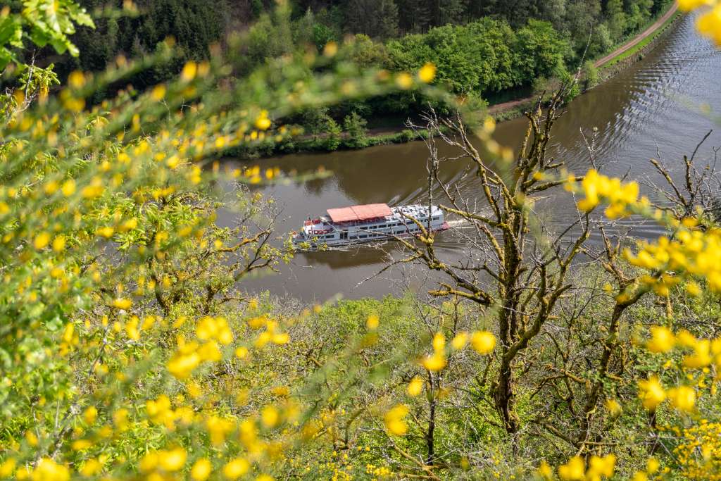 Cloefpfad im Saarland