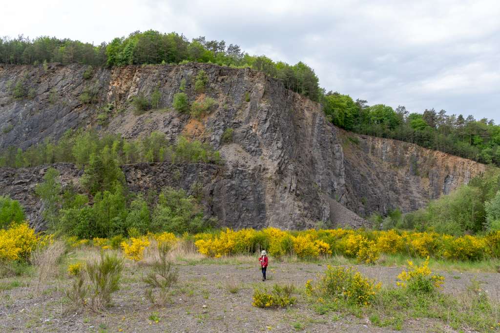 Famenne-Ardenne mit Kindern Hotton
