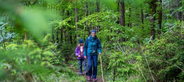 Famenne-Ardenne mit Kindern entdecken: Unsere Highlights im UNESCO-Welt-Geopark in der Wallonie in Belgien