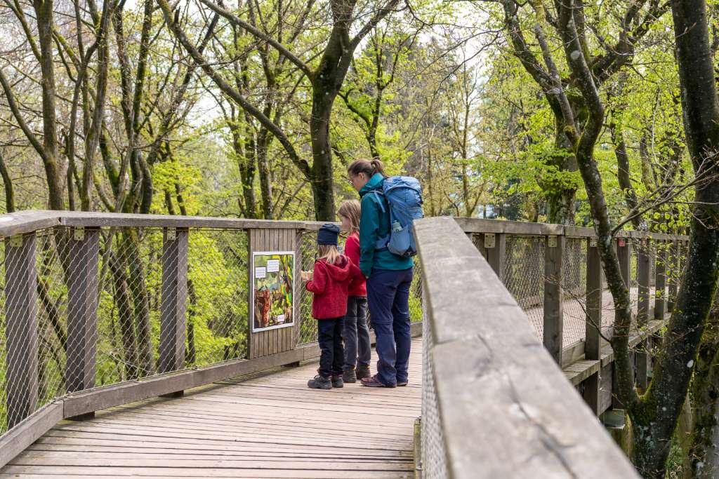 Familienurlaub im Saarland Baumwipfelpfad
