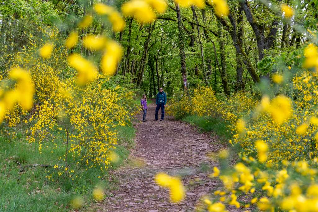 Familienwanderung Cloefpfad